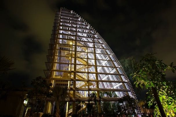 Unwind at Umm Al Emarat Park-5